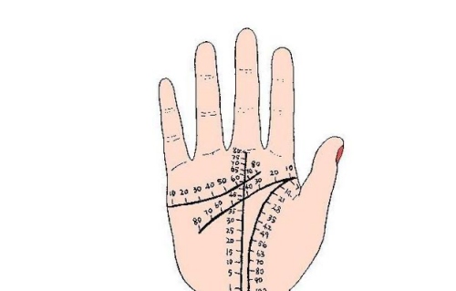 生命線50歲在哪個位置