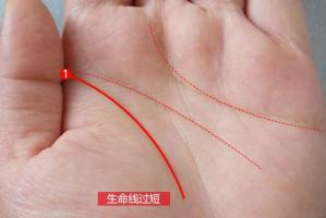 生命線只有一半能活多少歲