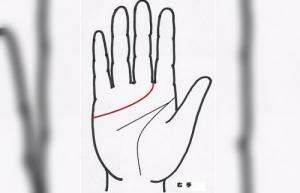 感情線到食指和中指中間好不好