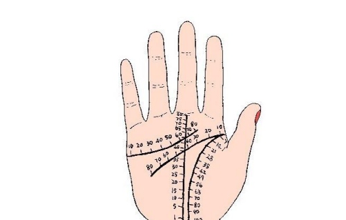 事業(yè)線40歲以后的位置