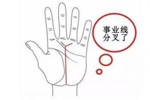 事業(yè)線有分叉是什么意思