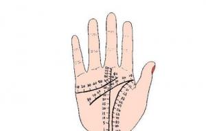 事業(yè)線40歲以后的位置