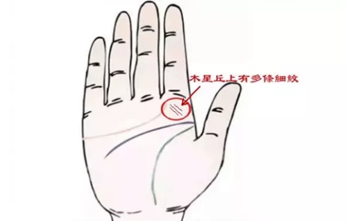 木星丘上的各種紋代表的意思