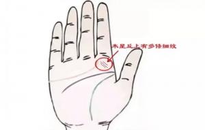 木星丘上的各種紋代表的意思