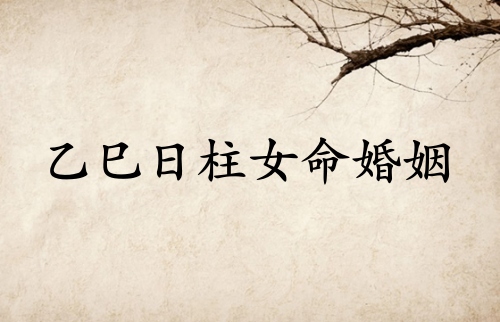 乙巳日柱女命婚姻詳解 乙巳日柱女命婚姻詳解