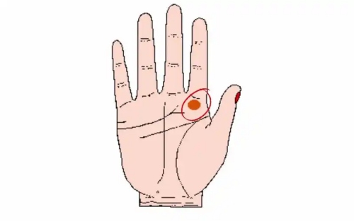 木星丘有豎紋代表什么