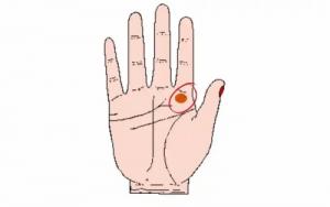 木星丘有豎紋代表什么