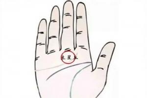 土星丘有豎紋代表什么