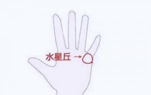 水星丘有橫紋什么意思