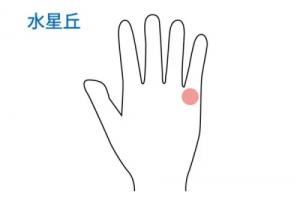 水星丘飽滿代表什么