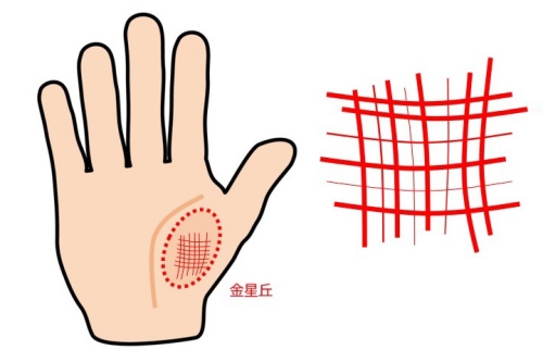 金星丘有很多橫紋和豎紋代表什么