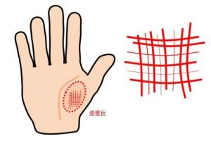 金星丘有很多橫紋和豎紋代表什么