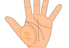 金星丘橫紋多代表什么