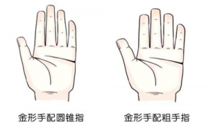 金形手的男生是什么命