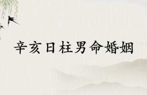 辛亥日柱男命婚姻走勢