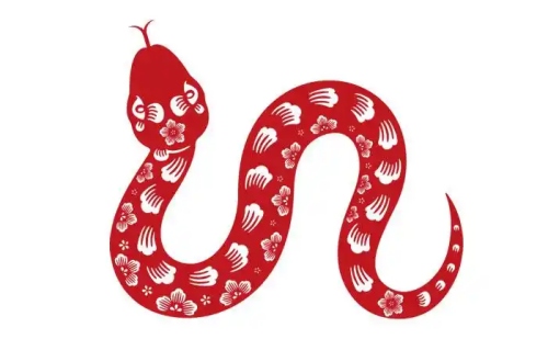 屬蛇的是哪年出生的