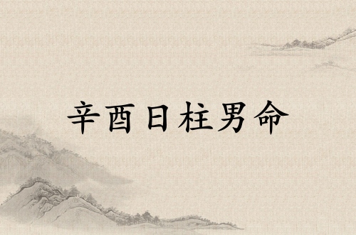 辛酉日柱男命運詳解