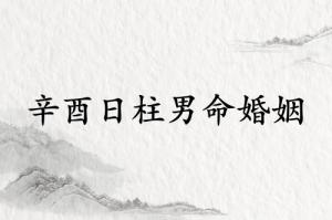 辛酉日柱男命婚姻怎么樣