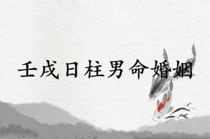 壬戌日柱男命婚姻精論