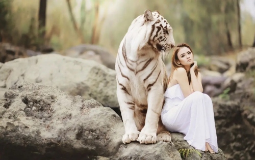 屬虎的女人性格和脾氣及愛情分析