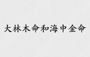 大林木命和海中金命合不合