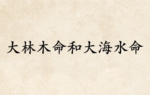 大林木命和大海水命婚姻配嗎