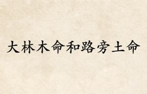 大林木命和路旁土命婚配好嗎