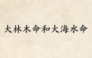 大林木命和大海水命婚姻配嗎