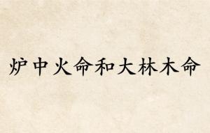 爐中火命和大林木命的婚姻怎么樣