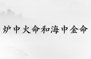 爐中火命和海中金命的夫妻好嗎