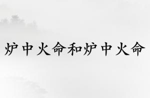 爐中火命和爐中火命的夫妻好嗎