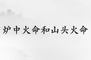 爐中火命和山頭火命合適嗎