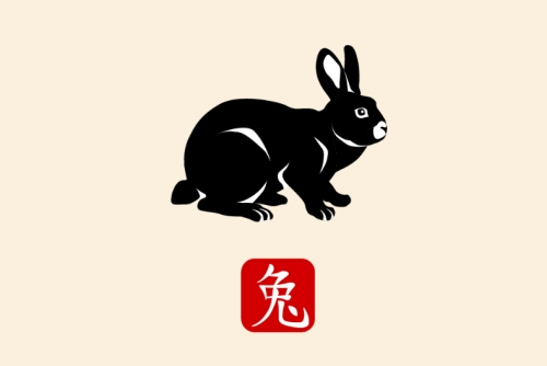 屬兔的是什么命金木水火土