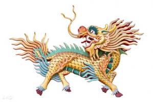 屬龍的是什么命金木水火土