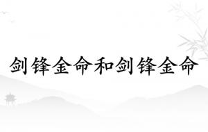 劍鋒金命和劍鋒金命相配嗎