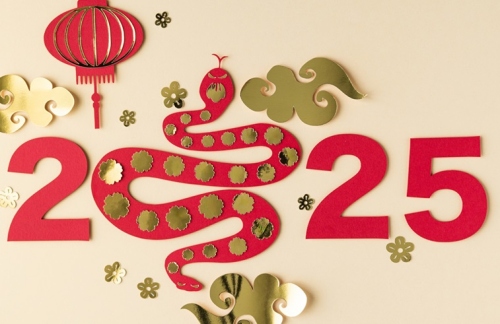 2025蛇年五行屬什么命