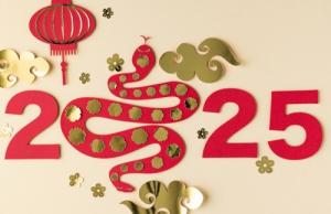 2025蛇年五行屬什么命