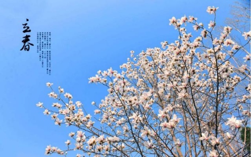 2025年躲春時(shí)間是幾點(diǎn)到幾點(diǎn)