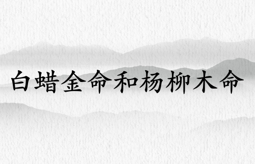 白蠟金命和楊柳木命結(jié)婚好嘛