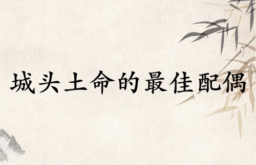 城頭土命的最佳配偶