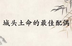 城頭土命的最佳配偶