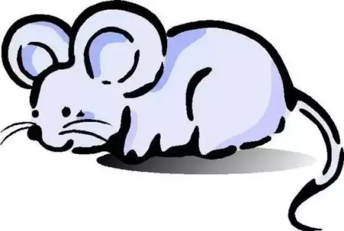 96年屬什么的生肖