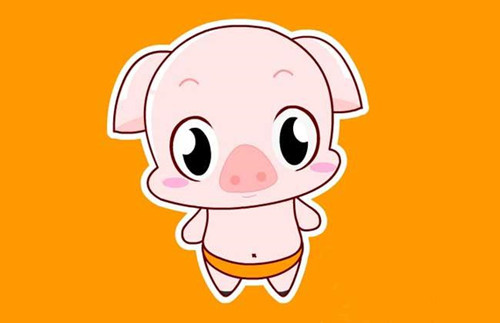 95年屬什么的生肖