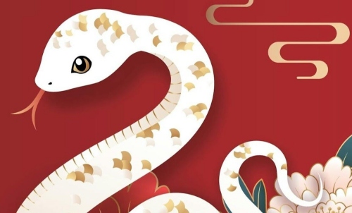 2025屬蛇的大忌顏色