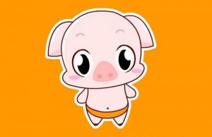 95年屬什么的生肖