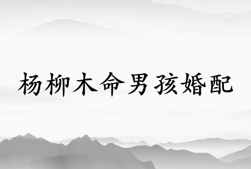 楊柳木命男孩和什么命相配