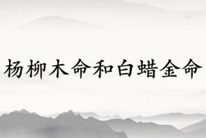 楊柳木命女孩和白蠟金命男孩可以破嗎