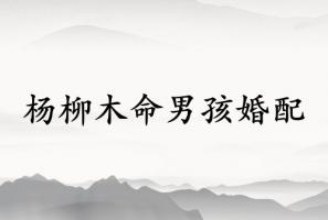 楊柳木命男孩和什么命相配