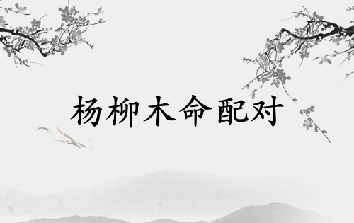 楊柳木命和什么命最好
