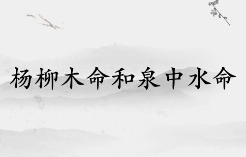 楊柳木命和泉中水命般配嗎